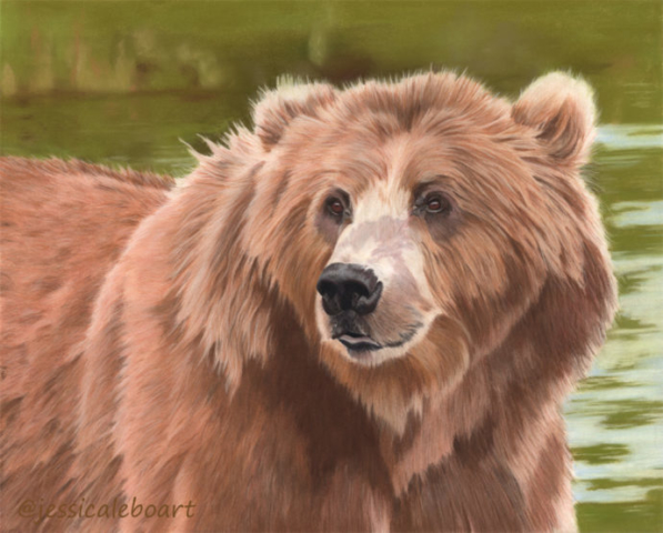 realism pastel drawing bear fine art