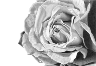 https://www.jessicaleboart.com/wp-content/uploads/2017/06/graphite-rose-690x473-320x240.jpg