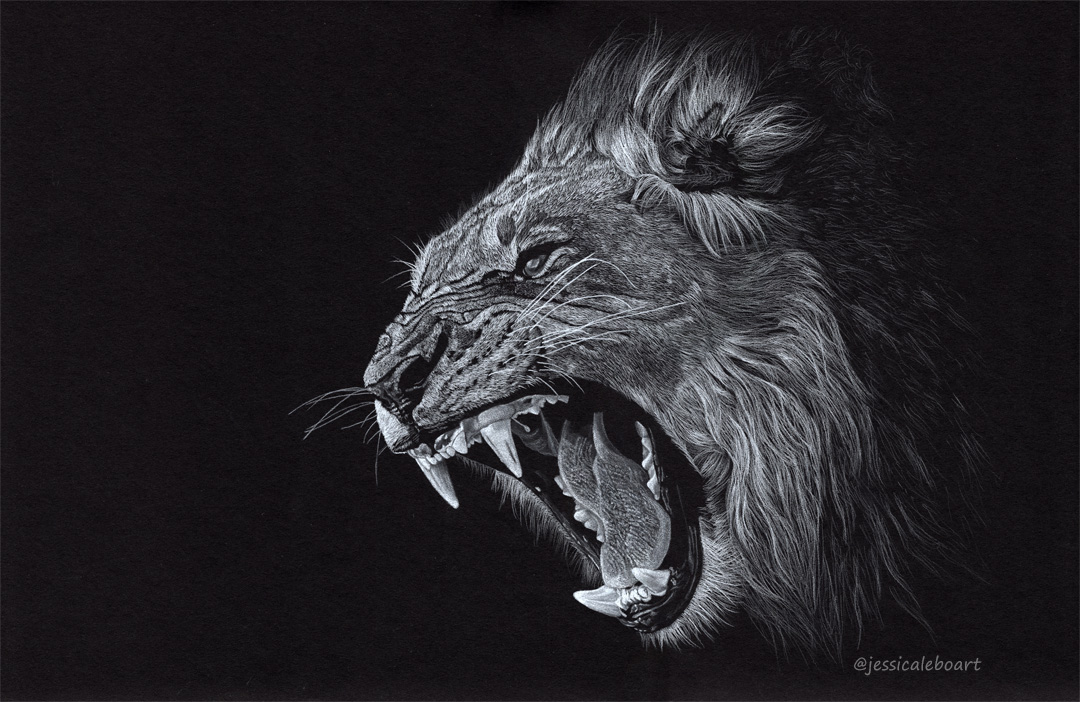 White Charcoal on Black Paper Drawing