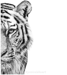 Buy Tiger Pencil Drawing Online In India  Etsy India