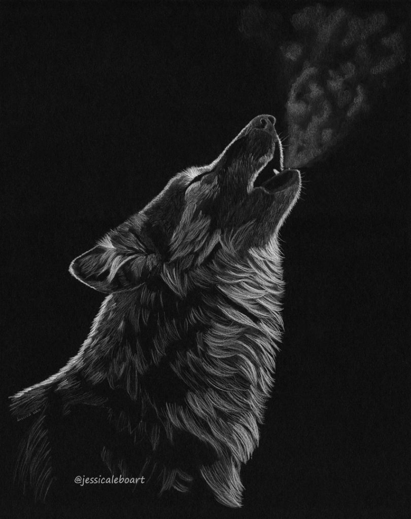 Wolf Sketch – Jessica Lebo Art