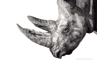 realistic pencil drawings of animals
