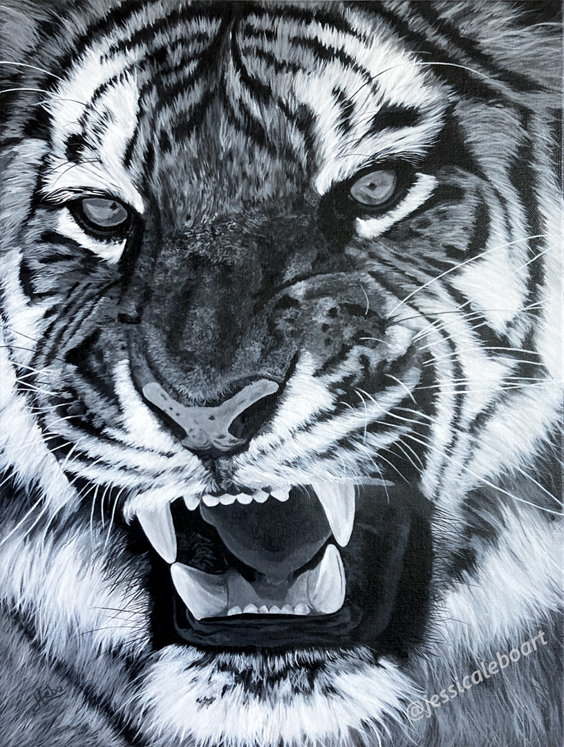 black and white tiger face animal wildlife acrylic painting